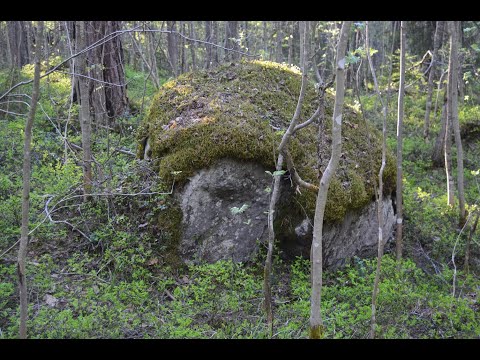 Видео: Hiking Great Vaara Eastern Vaara Devil's Chair  Большая Ваара Восточная Ваара Чёртов Стул