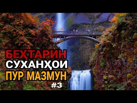 Видео: Суханҳои пур мазмун ва суханҳои тарбияви #3