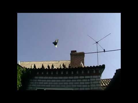 Видео: Никалаевские голуби г. Павлоград.Алег с Торецка в гостях.