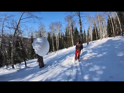 Видео: 2025, 1 марта. Скитур разведка. Риддер. Гора Король