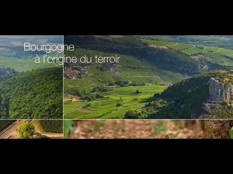 Видео: Bourgogne, the birthplace of terroir - Бургундия, родина терруара