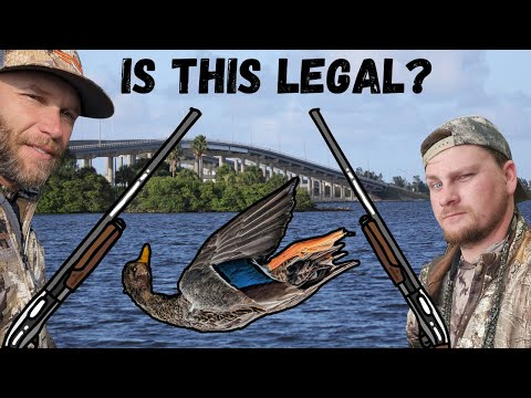 Видео: СХЕМА ГОРОДСКОЙ ОХОТЫ НА УТОК! *Охота на уток во Флориде* Охота в лагуне реки Индиан. Самодельная...