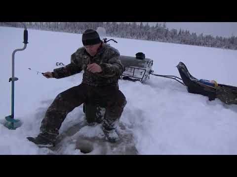 Видео: РЫБАЛКА НА ОКУНЯ ЗИМОЙ НА МОРМЫШКУ / ЛОВЛЯ ОКУНЯ В ГЛУХОЗИМЬЕ