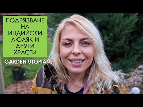 Видео: РЕЗИТБА на ИНДИЙСКИ ЛЮЛЯК и ПРЕПОРЪКИ ЗА ДРУГИ ХРАСТИ