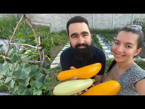 Видео: Какво имаме в градината *през Юли месец*