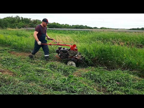 Видео: Скосить сено мотоблоком, ЛЕГКО!!! Сенокос мотоблоком. Сезон 2023