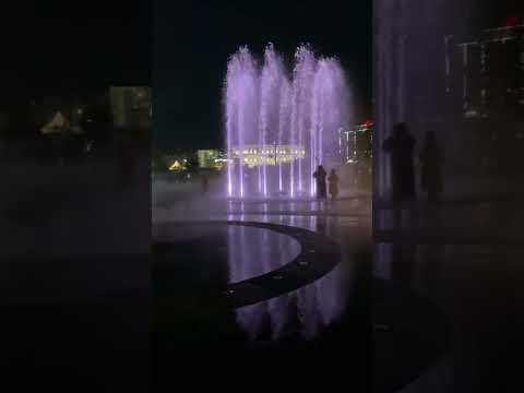 Видео: 21 октября 2025 г.