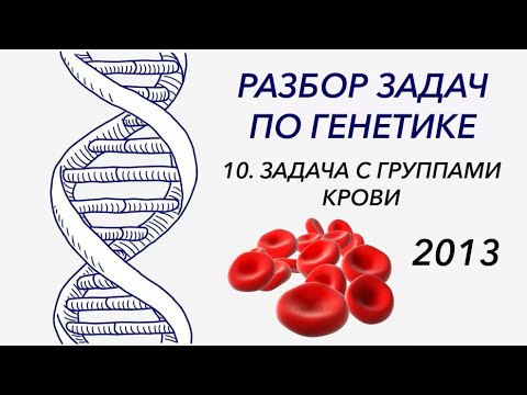 Видео: Разбор задачи по генетике, 2013 год - ЦТ, ЕГЭ, ЗНО.
