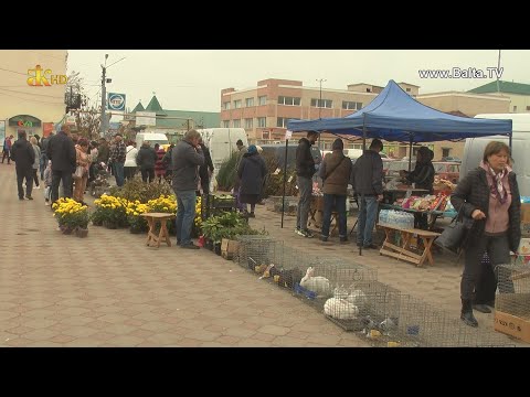 Видео: Балта. Виставка-ярмарок домашніх декоративних тварин