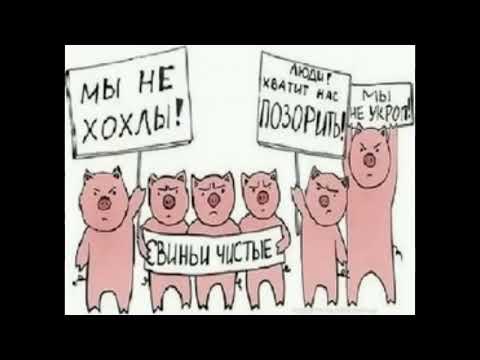 Видео: Мошенники всех мастей (сборник 27)