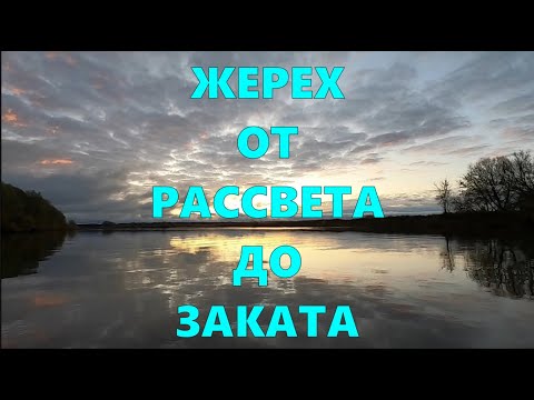 Видео: КРАСИВАЯ РЫБАЛКА НА ЖЕРЕХА \ ЖЕРЕХА НУЖНО ИСКАТЬ \ #жерех #рыбалка #волкер #самодельныеприманки
