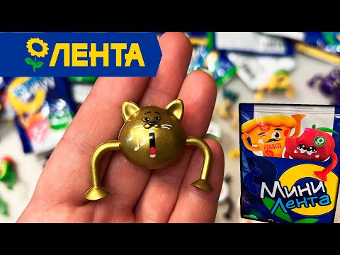 Видео: Нашли ЗОЛОТОГО КОТА УХ / МИНИ ЛЕНТА возвращение !