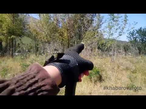 Видео: ТЕКЕЛИ. ХОДИЛКА-БРОДИЛКА ПОЛЯ НА ВТОРОМ КОРДОНЕ .