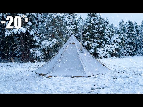 Видео: [-20°C] Ночь на морозе! - Зимний кемпинг при сильном снегопаде - снежный кемпинг