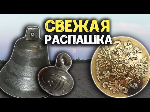 Видео: Мои находки с поля металлоискателем Minelab Manticore! Коп по старине, нашел старинные вещи!