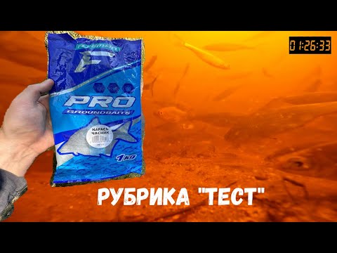 Видео: ТЕСТ Прикормки. ПОДВОДНАЯ СЪЁМКА!! Новая рубрика