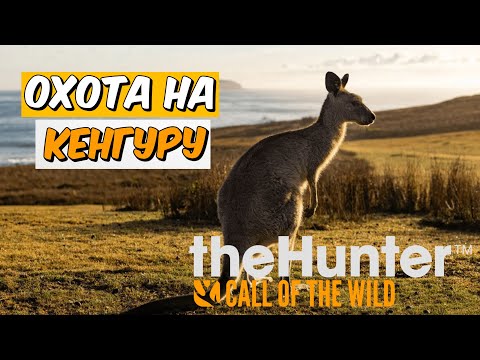 Видео: ОХОТА НА ГИГАНТСКОГО КЕНГУРУ🦘 В theHunter Call of the Wild - Emerald Coast Australia