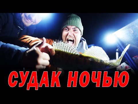 Видео: Не клюет? А ты попробуй ночью ! Размер рыбы тебя удивит. Ночной судак. Каша из судака