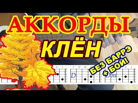 Видео: Клен Аккорды ♪ Синяя птица ♫ Разбор песни на гитаре БЕЗ БАРРЭ 🎸 Гитарный Бой для начинающих