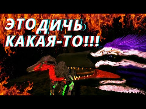 Видео: ВЫРАЩИВАЕМ РАПТОРА С ГНЕЗДА Beasts Of Bermuda