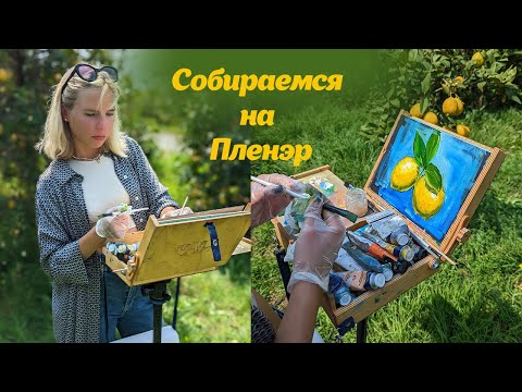 Видео: Что взять с собой на пленер? Какой этюдник выбрать?