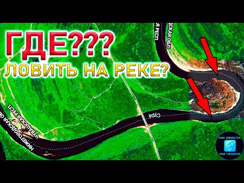Видео: ГДЕ ЛОВИТЬ НА РЕКЕ НА ФИДЕР?!СЕКРЕТЫ поиска места для рыбалки и поиск точки ловли