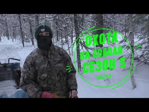 Видео: Охота на соболя. Сезон 5. Часть 3.