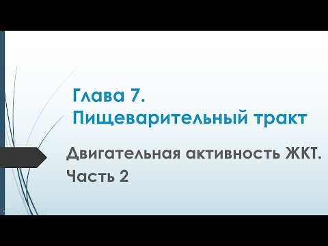 Видео: Физиология. Глава 7. Пищеварительный тракт. Двигательная активность ЖКТ. Часть 2