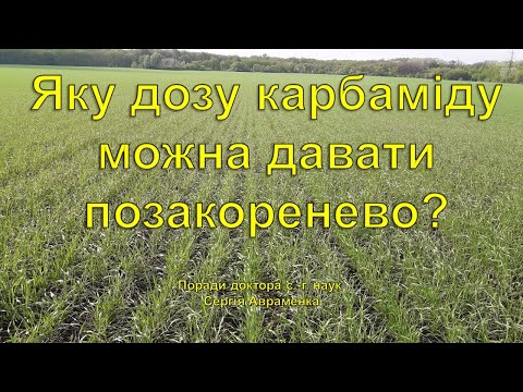 Видео: Яку дозу карбаміду можна вносити по листу?