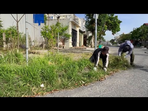 Видео: Ручная очистка заросшего тротуара — удовлетворительные результаты