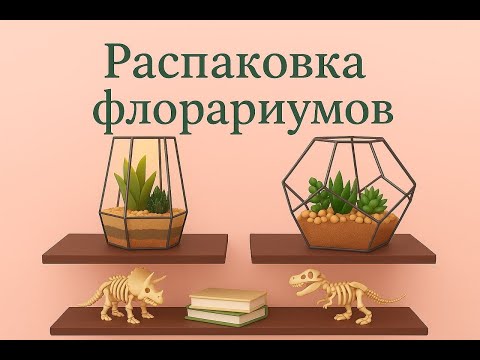 Видео: Распаковка флорариумов. В поисках новинок-растений