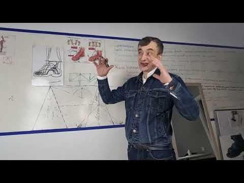 Видео: Как работает стелька? Курс Сам Себе Ортопед.