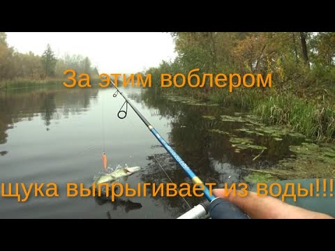 Видео: Этот воблер вытащил всю рыбалку!!! DUO Realis Jerkbait 120SP от BEARKING!!!