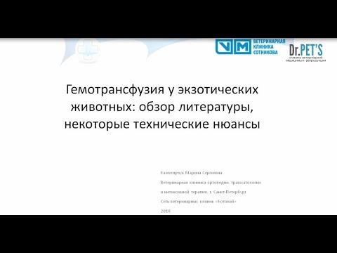 Видео: Гемотрансфузия у экзотических животных: обзор литературы, некоторые технические нюансы.