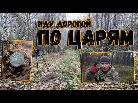 Видео: Иду по лесу в поисках царских монет