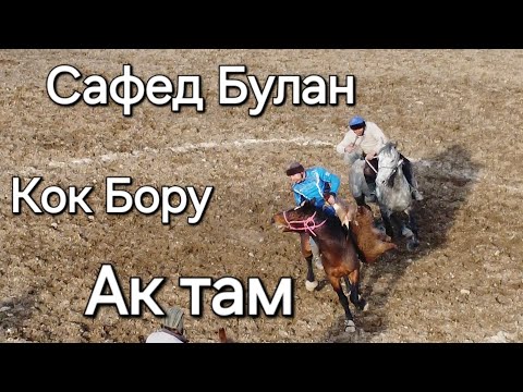 Видео: Кок Бору Сафед Булан : Актам #кокбору #кокпар2024 #улак #актам #сафедбулон #ноокат #кыргызстан #улок