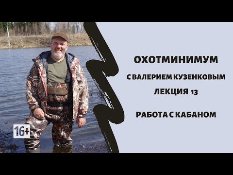 Видео: Охотминимум. Лекция 13. Охота на кабана