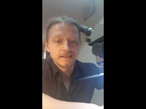 Видео: Закрепка камня в крапановый каст