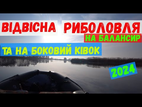 Видео: ловля у відвіс та на  бокового ківка #риболовля#судак#карась