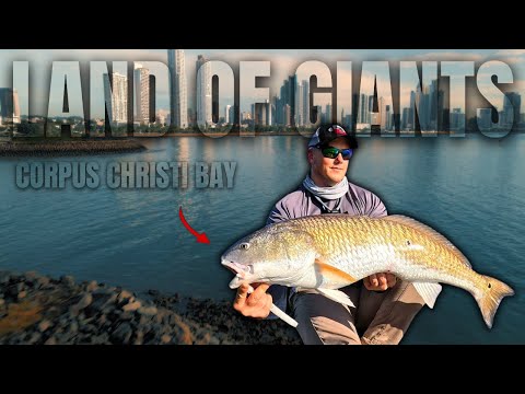 Видео: Это заброшенное сооружение ПОЛНО гигантских рыб! (Залив Корпус-Кристи, Техас)