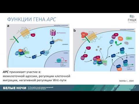 Видео: Как можно увеличить выявляемость мутаций при наследственном колоректальном раке (Цуканов А.С.)