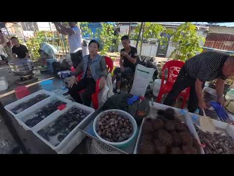 Видео: Рыбный рынок Китай | Далянь