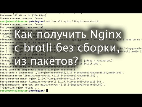 Видео: Как получить Nginx+brotli без компиляции?