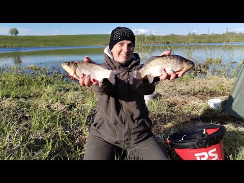 Видео: ГДЕ Искать и КАК Ловить Крупного КАРАСЯ? Что любит Карась? Рыбалка на Карася весной зимой летом...