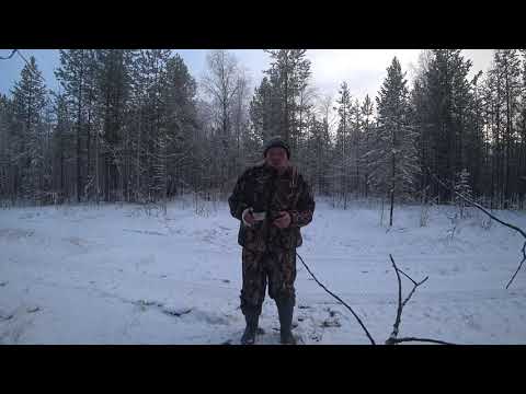 Видео: Охота на Зайца 19.10.2020. С Эстонской гончей. Добыли два Зайчишки.