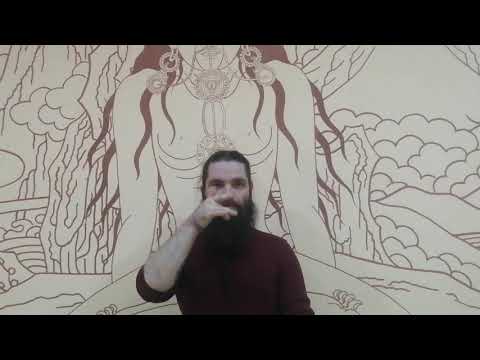 Видео: Практика СО-ХАМ