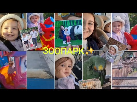 Видео: VLOG: ВПЕРВЫЕ В ЗООПАРКЕ!АЛИСКА ШПАРИТ НА АНГЛИЙСКОМ!🤣🤌23.06.25