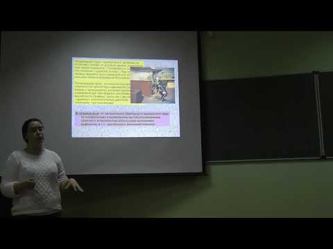 Видео: Физиология животных. Часть 2. Тарасова Е.О. 04.11.2014 edit