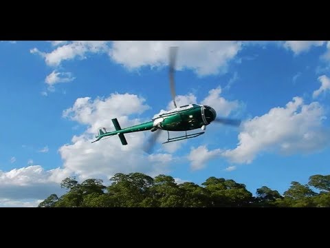 Видео: Club Palm Bay 4*( Вертолеты,ресторан и бассейны.)Шри-Ланка.