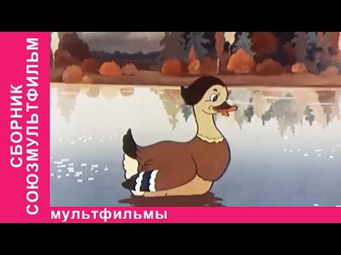 Видео: Советские мультфильмы. Мультфильмы про дружбу. StarMediaKids